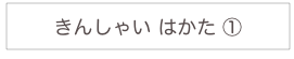 
きんしゃい はかた ①
